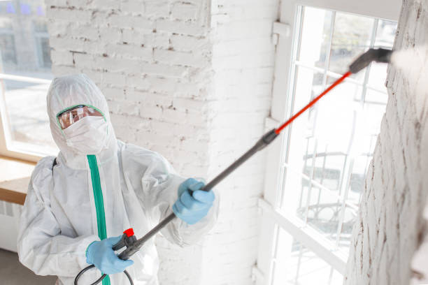 Best Post-Construction Mold Inspection  in Columbia, KY