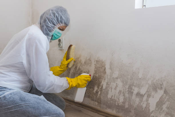 Best Air Quality Testing for Mold Spores  in Columbia, KY