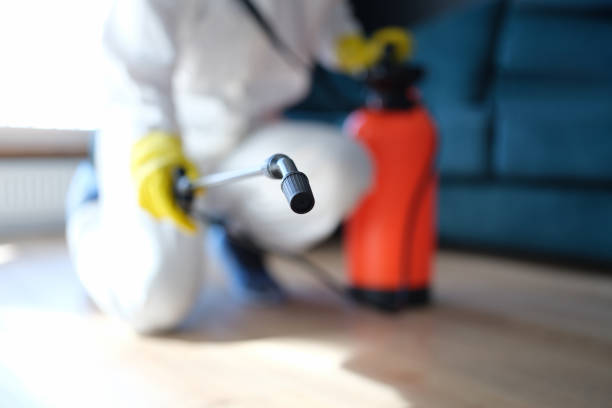 Best Environmental Consulting for Mold Prevention  in Columbia, KY