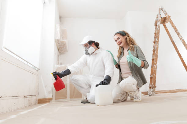 Best Mold Damage Restoration  in Columbia, KY